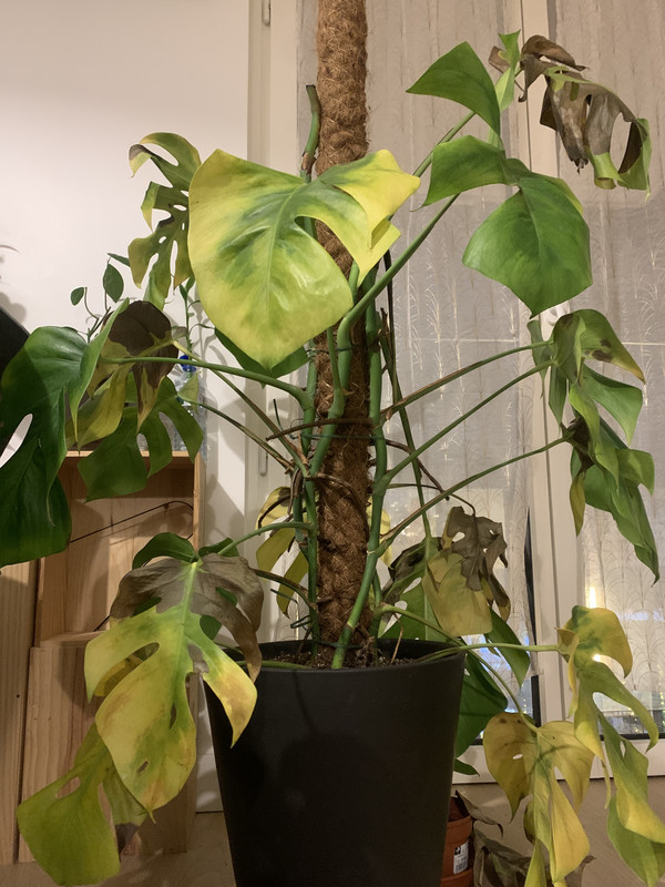 32F0CDA8-50B7-4F0B-93BF-7AEAD7CCD0D7