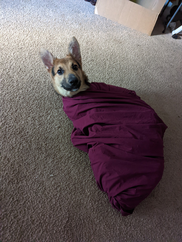 PXL_20220828_135355865