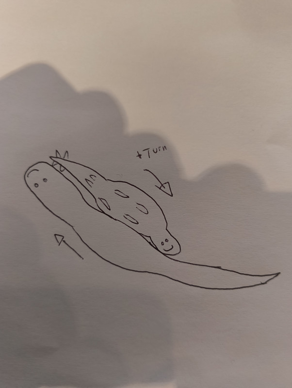 IMG 20260331 192003336