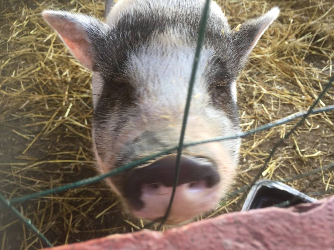 71F52933-9C85-4AE1-B389-D713337EF407