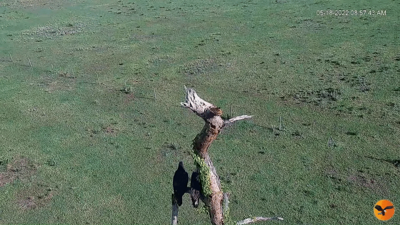 Webp.net-gifmaker (11)