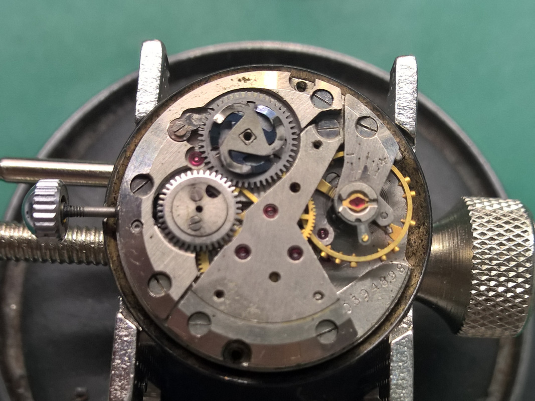 WP_20220315_17_15_01_Pro