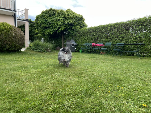 IMG 1618
