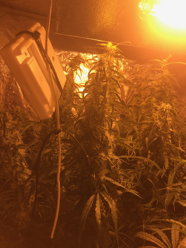 D869BA93-BF5C-442B-9183-54CFD1A86FB2