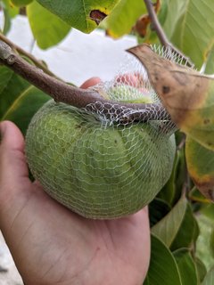 PXL_20221005_155653781