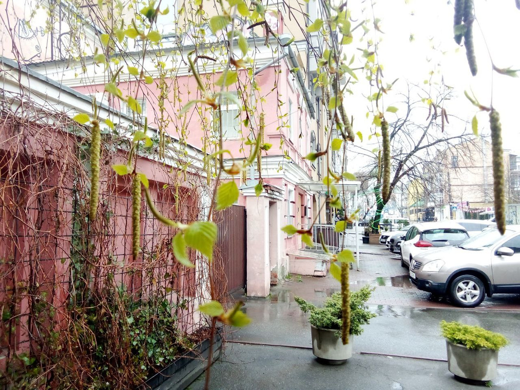 photo_2025-04-01 8.18.03 пп