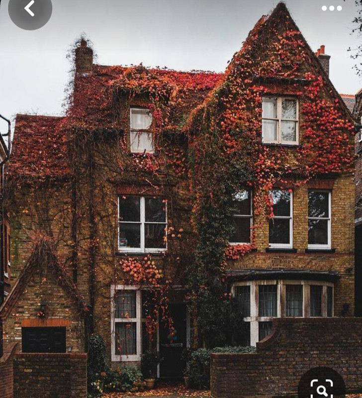 Screenshot_20231128_002613_Pinterest