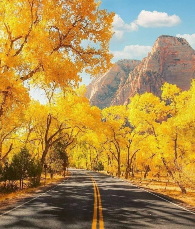 Screenshot_20240428_001629_Threads