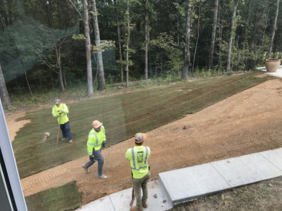 62256846377__6F35A081-D230-4B4B-819F-A6758597869C