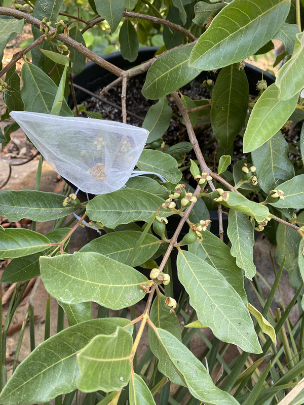 69267ED5-9647-409B-A9BA-3F81FF7C08C3