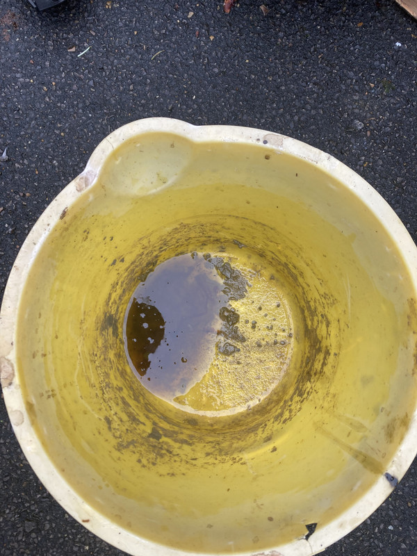 360CB358-D5D9-4725-A926-8E3B886EA64A