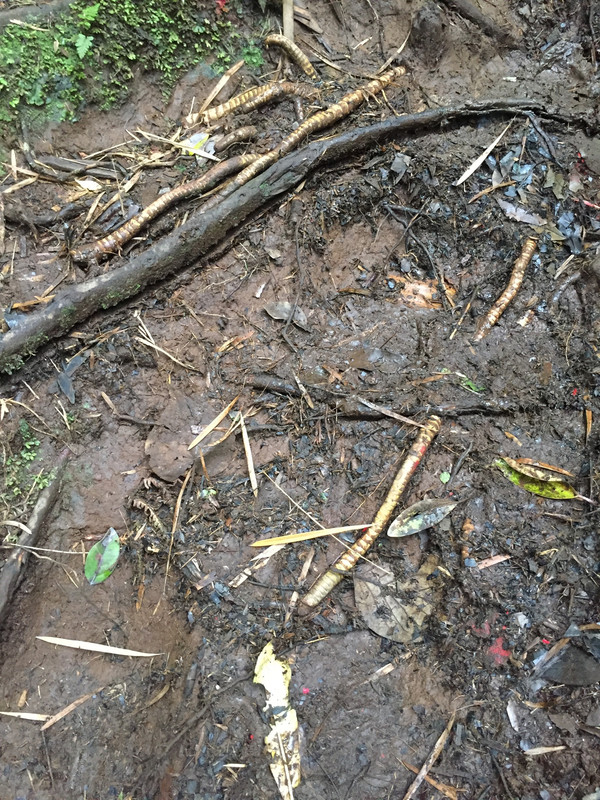 28801DB8-8262-4B70-8421-B44D77DA3998