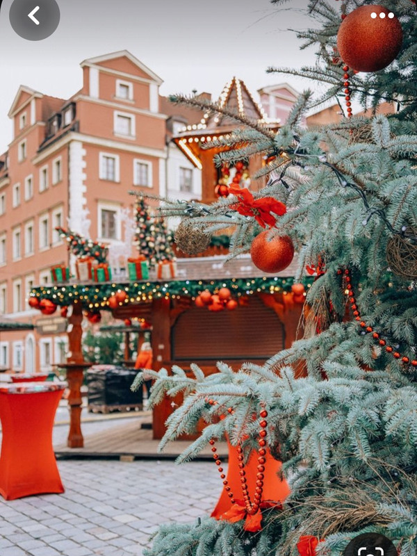 Screenshot_20231217_183346_Pinterest