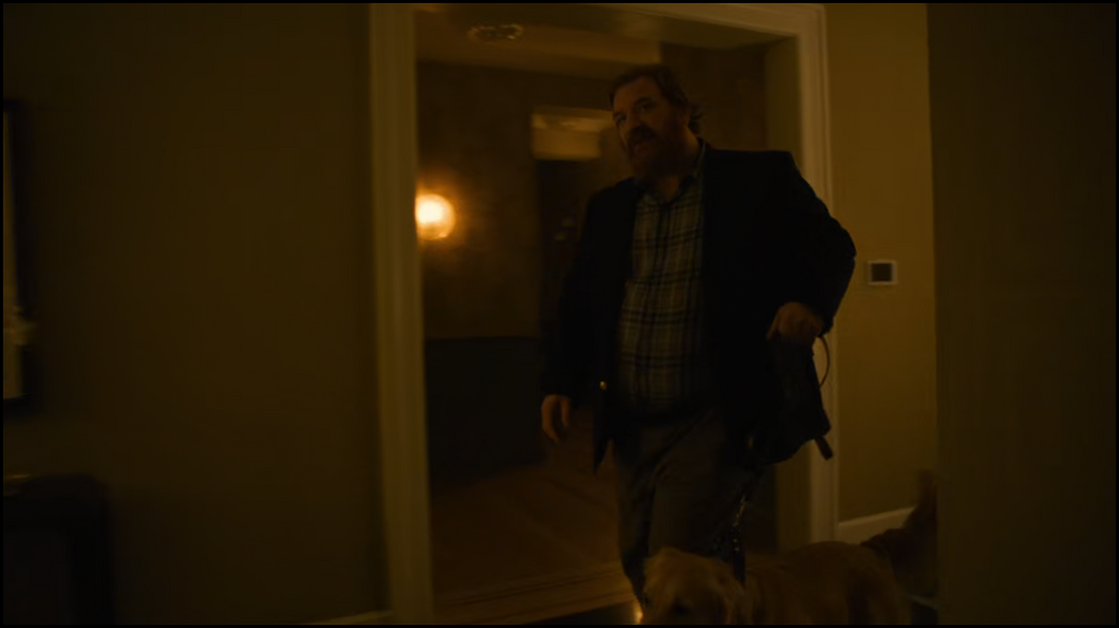 [Image: 9xedi6rz8h9r.png]