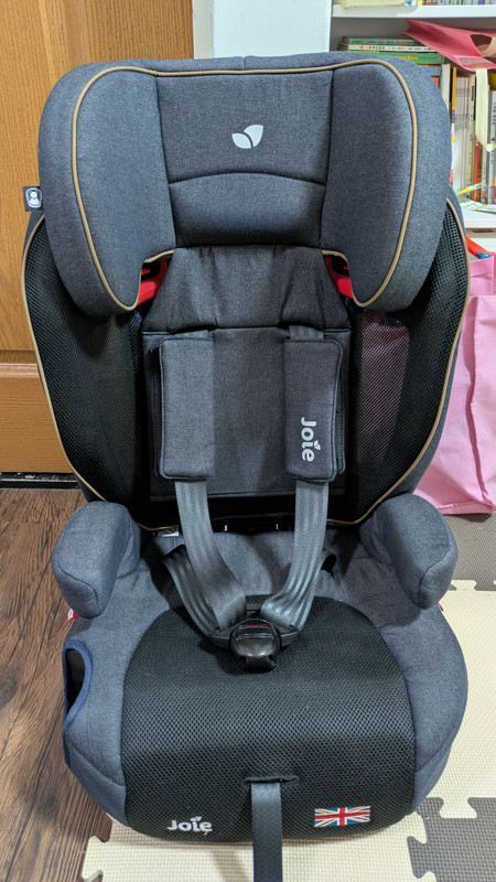 PXL 20260118 020301245