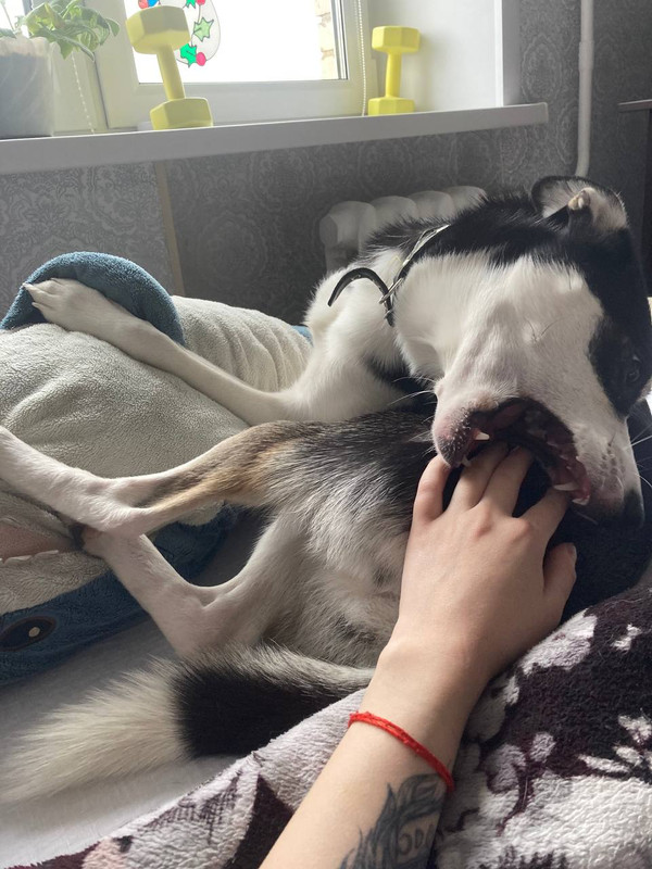 60EA4BD2-B977-45F3-BECE-22B5110E7E4A