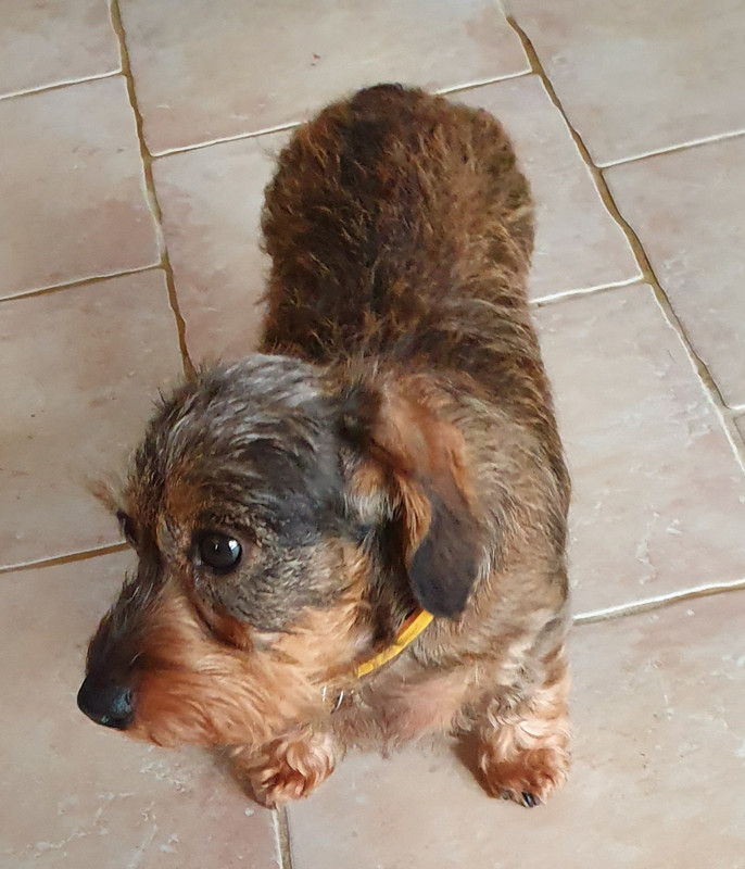 [Image: 20221018-064414.jpg]