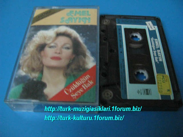 Emel Sayin Uzuldugun Seye Bak (4)