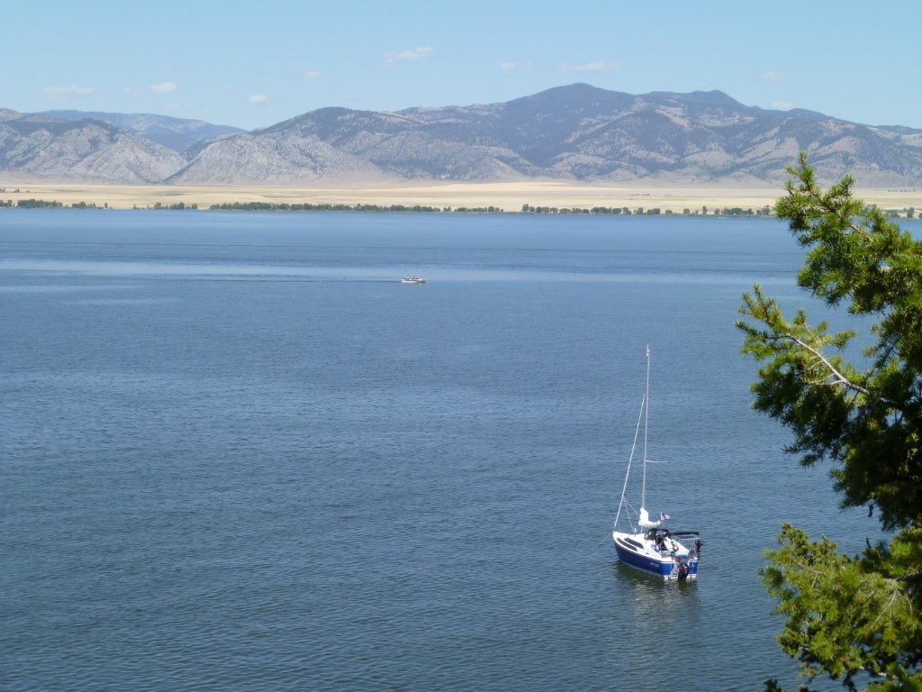 P1000735 (Large) (Medium)