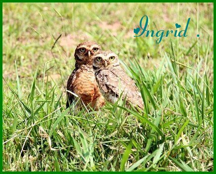 An den Beitrag angehängtes Bild: https://i.postimg.cc/ZYLsT1jX/maandag.jpg