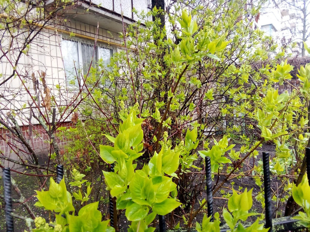 photo_2025-04-01 8.18.10 пп