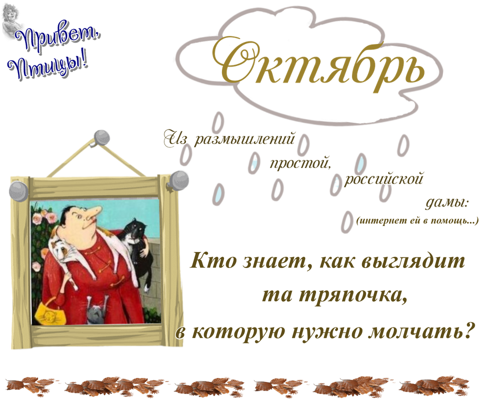 https://i.postimg.cc/ZYLyfhNw/12-10.png