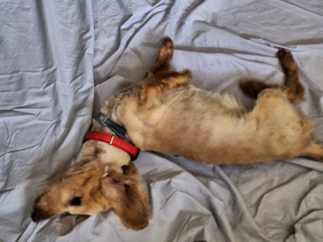 [Image: 20240315-103919.jpg]