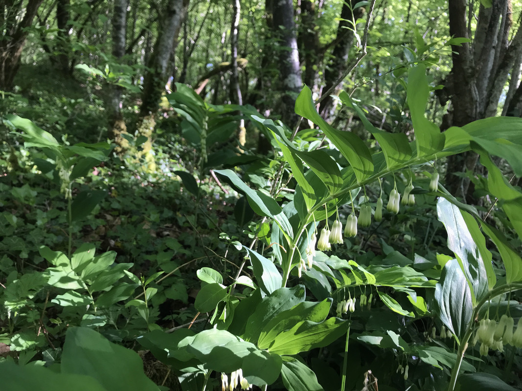 7AAFC0F2-78E7-4A3B-8D1E-5728F637A384