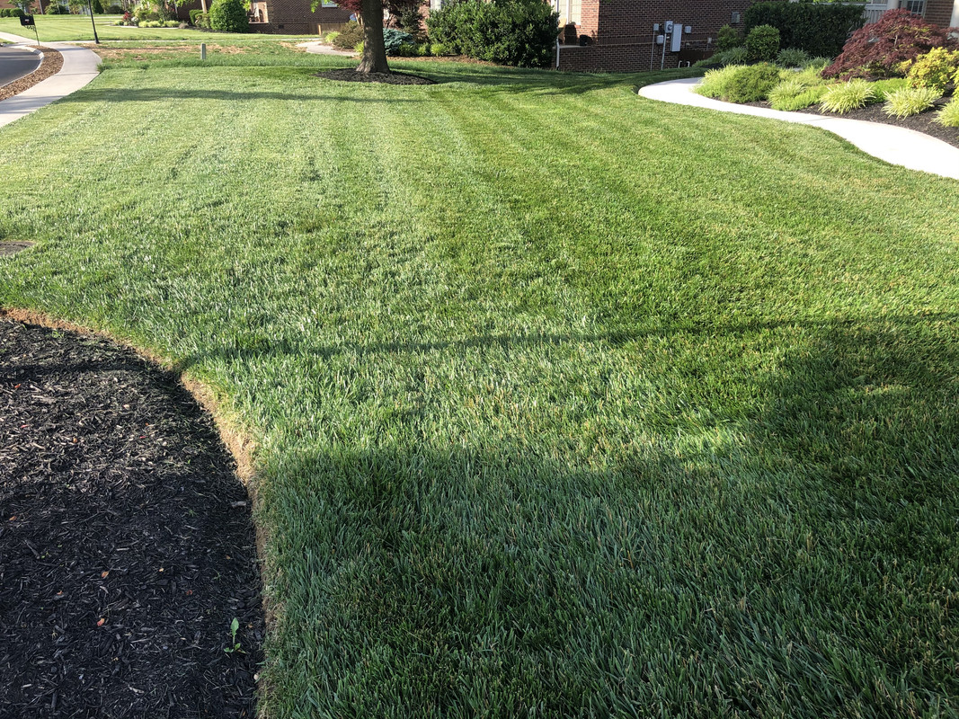 ACF7E621-8D68-477C-A2A1-077B674B8071