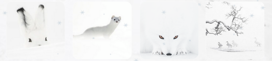 Capture d’écran 2024-12-04 222351