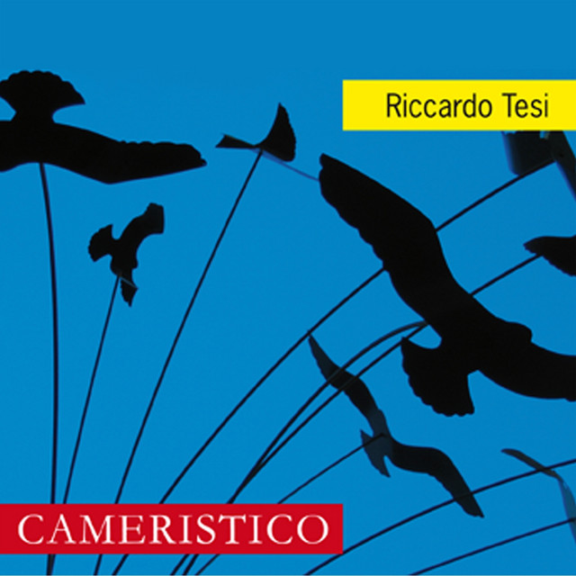 Riccardo Tesi • Cameristico (2012)  .flac  48.0 kHz 24 bits