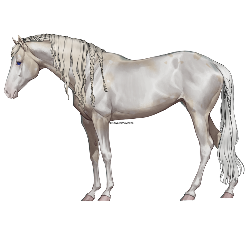 Untitled88-20250415113444.png