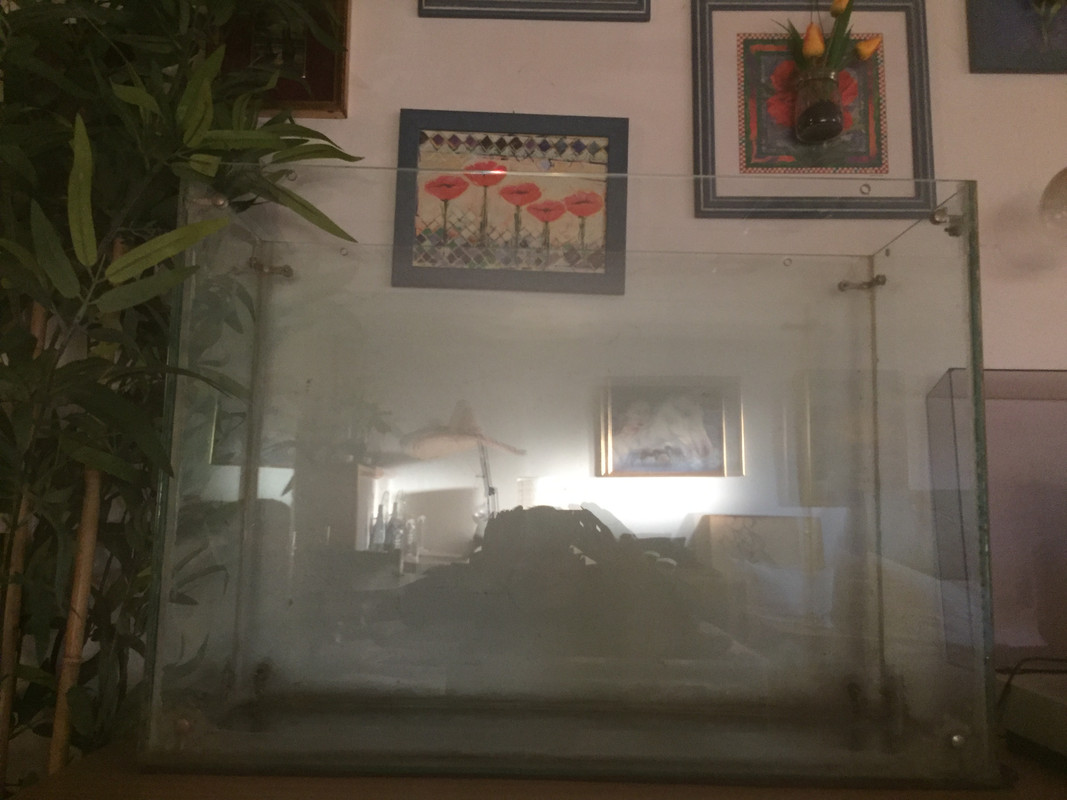 749699F9-AE36-4823-B4D6-5DB084CB5734