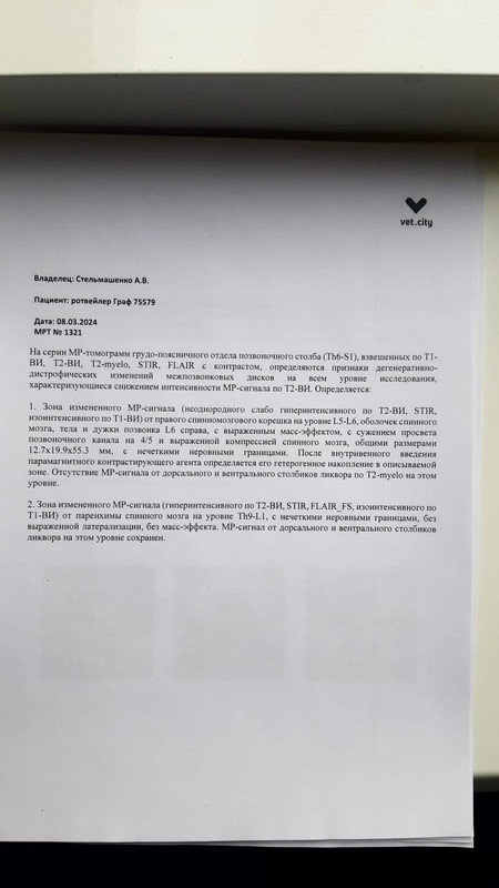 IMG-20240315-WA0001
