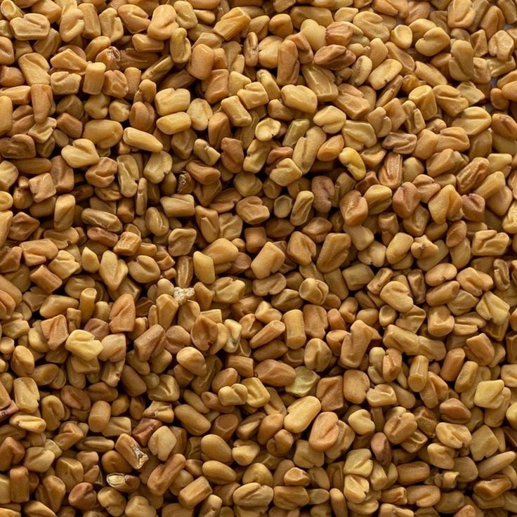 Spice jar