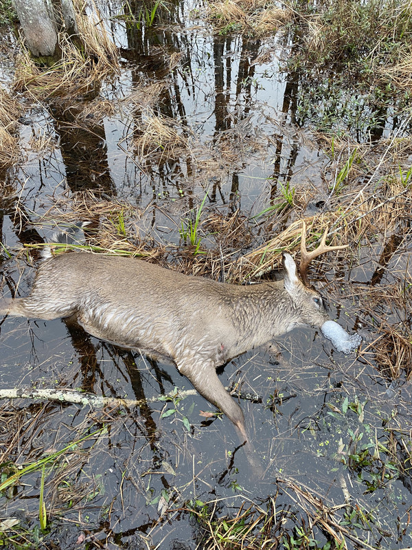 69923801-3215-4B5E-B618-98AC0D768488