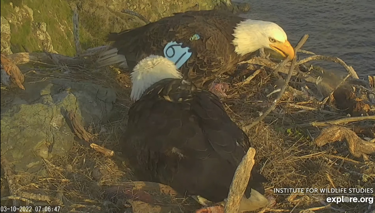 25731501-9D6C-4459-B665-8B5E4CE4FC96