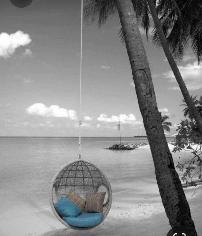 Screenshot_20230416_010337_Pinterest