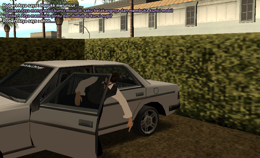 SS5.png