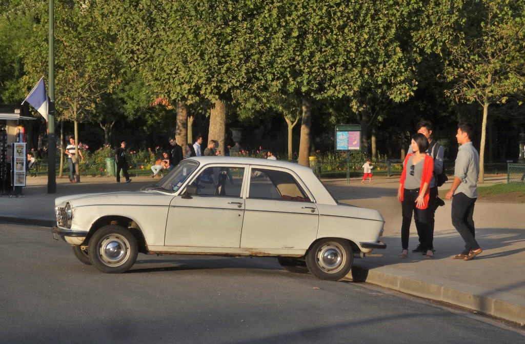 DSC05169 (2)