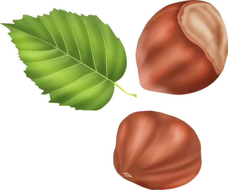 Pumpkinfairykitpudnacorns2