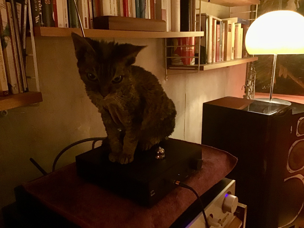 [Bild: IMG-4611.jpg]