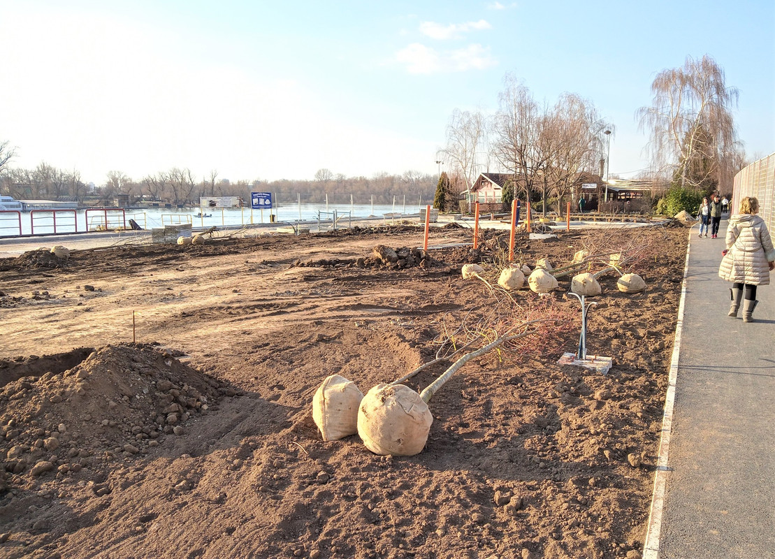 20200222_153051_HDR(1)