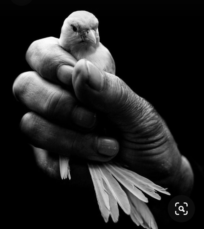 Screenshot_20231025_164602_Pinterest