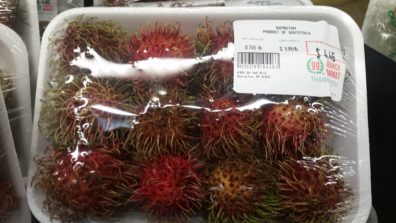 [Image: chom.jpg]
