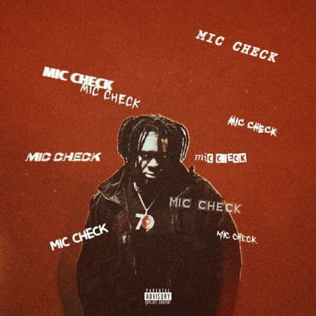 Tfemi - MIC CHECK (2025)
