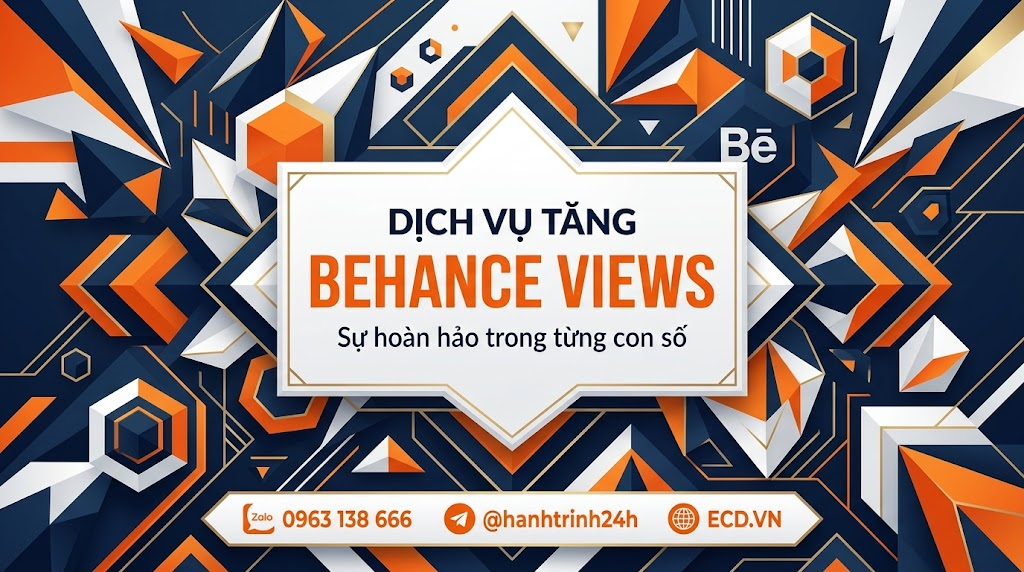 dịch vụ tăng behance views 2024 tăng engagement