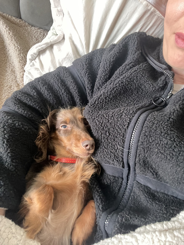 [Image: IMG-1650.jpg]