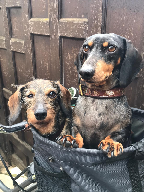 [Image: IMG-20221015-WA0002.jpg]