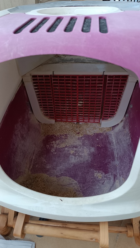 5_IMG_20240219_164228